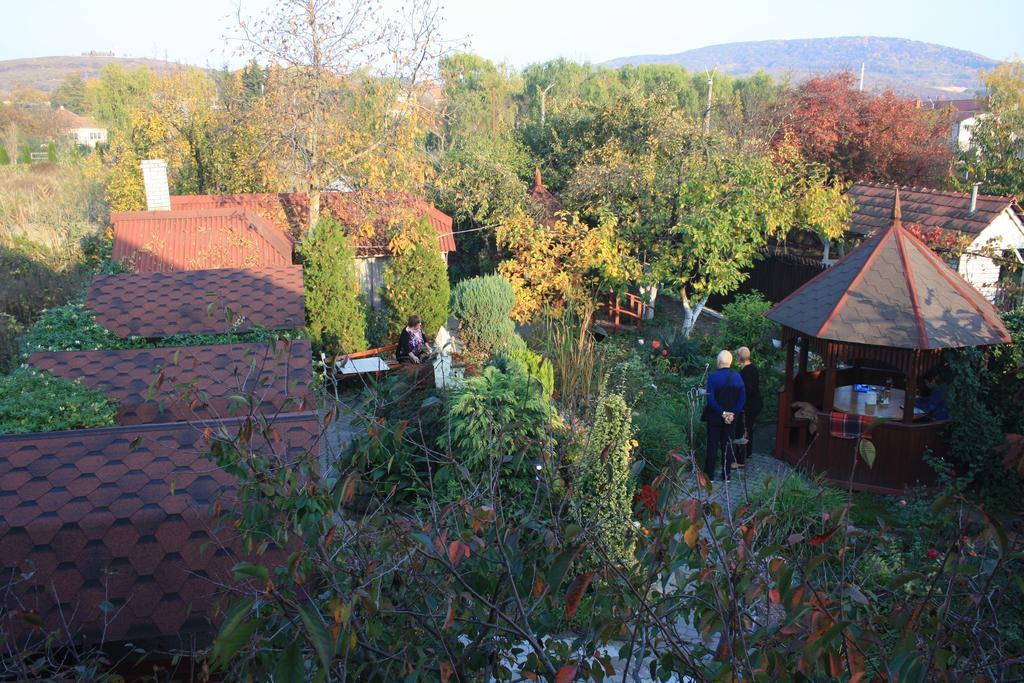 Fkoka Bed and Breakfast Berehove  Buitenkant foto
